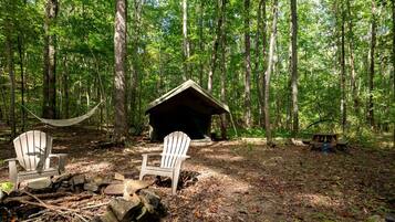 En skovcampingplads med to Adirondack-stole, en hængekøje, et lille træly og et picnicbord.