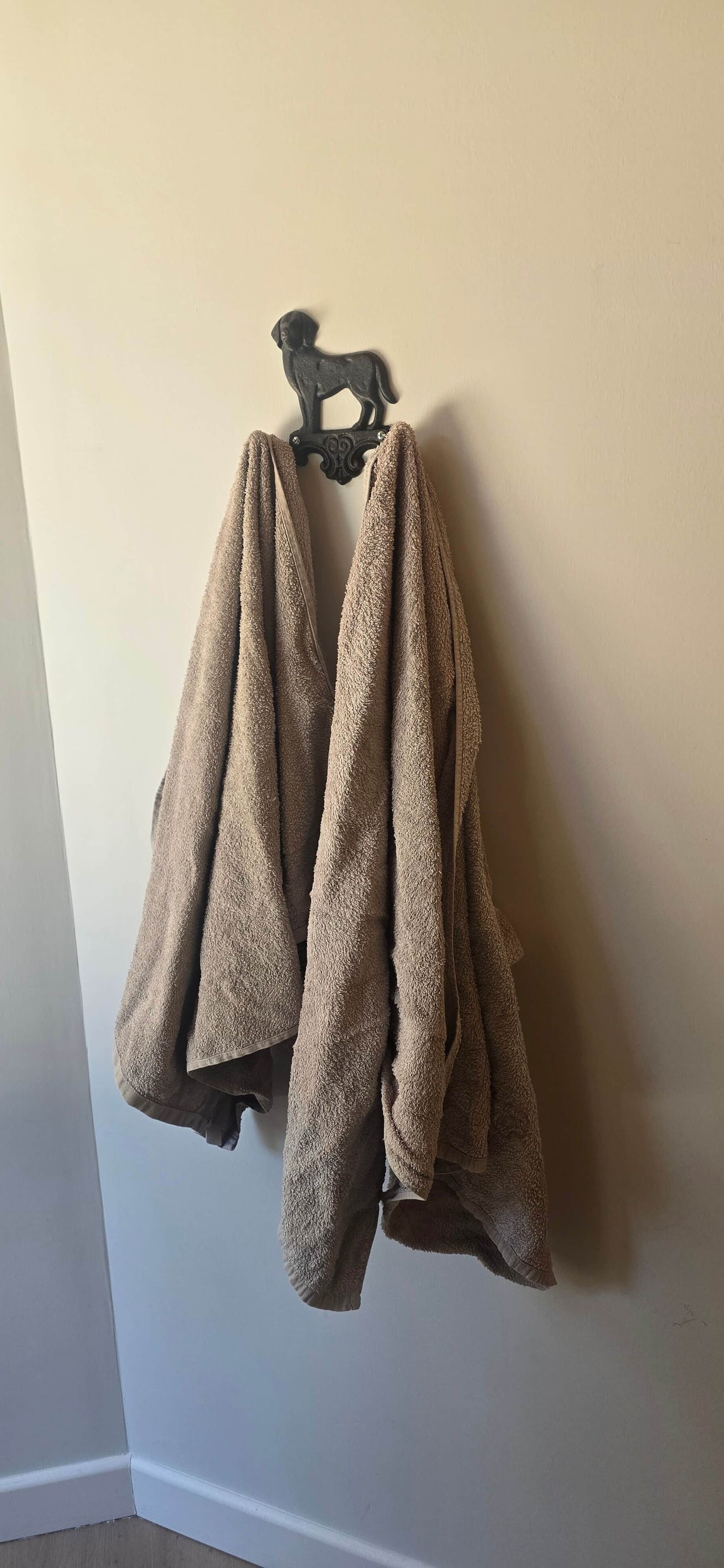 A pair of brown towels hanging on a wall-mounted rack.