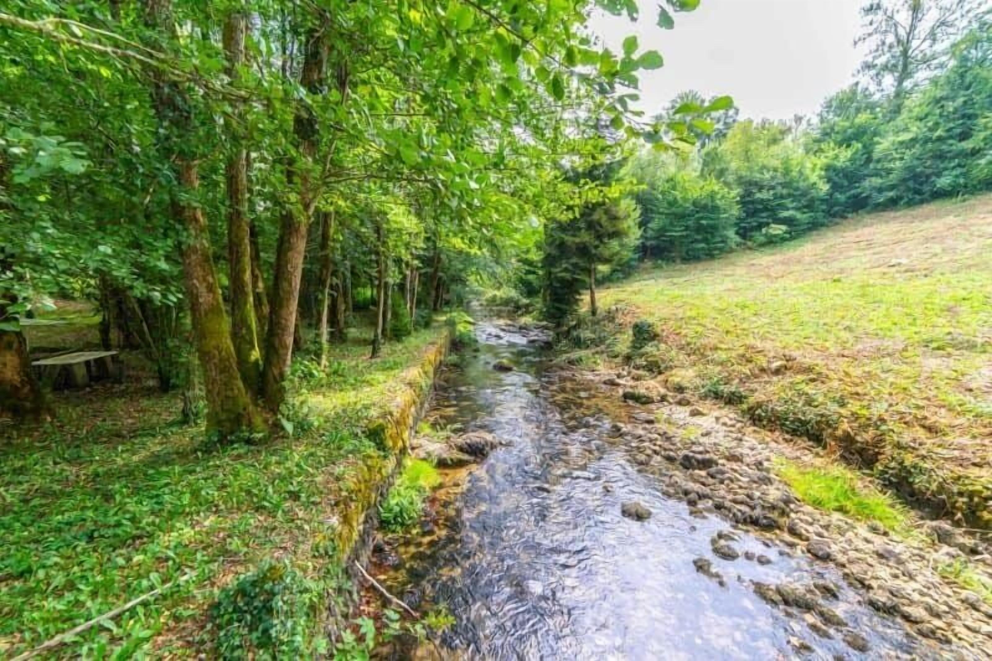 A narrow stream in a wooded area with trees and a bench.