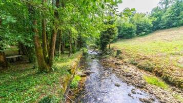 A narrow stream in a wooded area with trees and a bench.