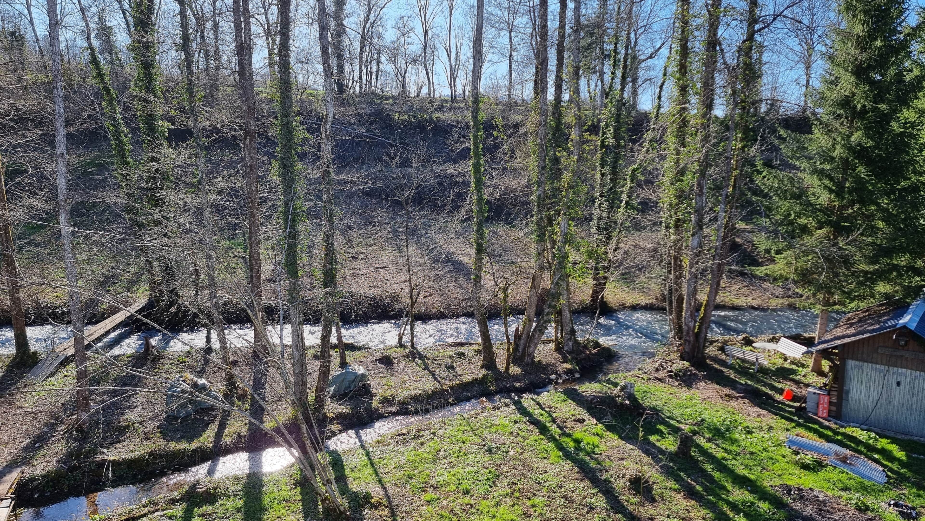 A forested area with a small cabin and a stream.