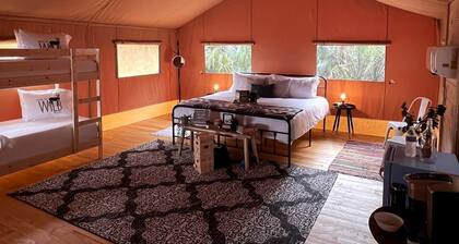 Deluxe Safari Tent with Family Glamping Comfort Near Anna Maria Island in Bradenton, Florida