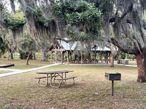 A picnic area with a table and benches, surrounded by trees with hanging moss.