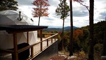 Terras