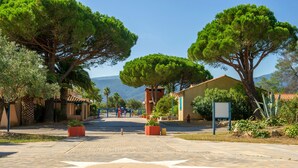 Ein gepflasterter Weg führt zu einem Gebäude mit sternförmiger Gestaltung, umgeben von Bäumen und einem klaren Himmel.