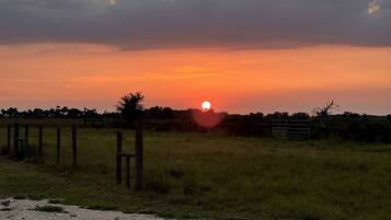 Un coucher de soleil sur un champ herbeux, avec une clôture et des arbres en arrière-plan.