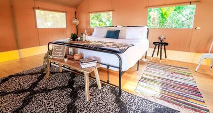 Deluxe Safari Tent with Fire Pit, Hammocks & BBQ in Basinger, Florida