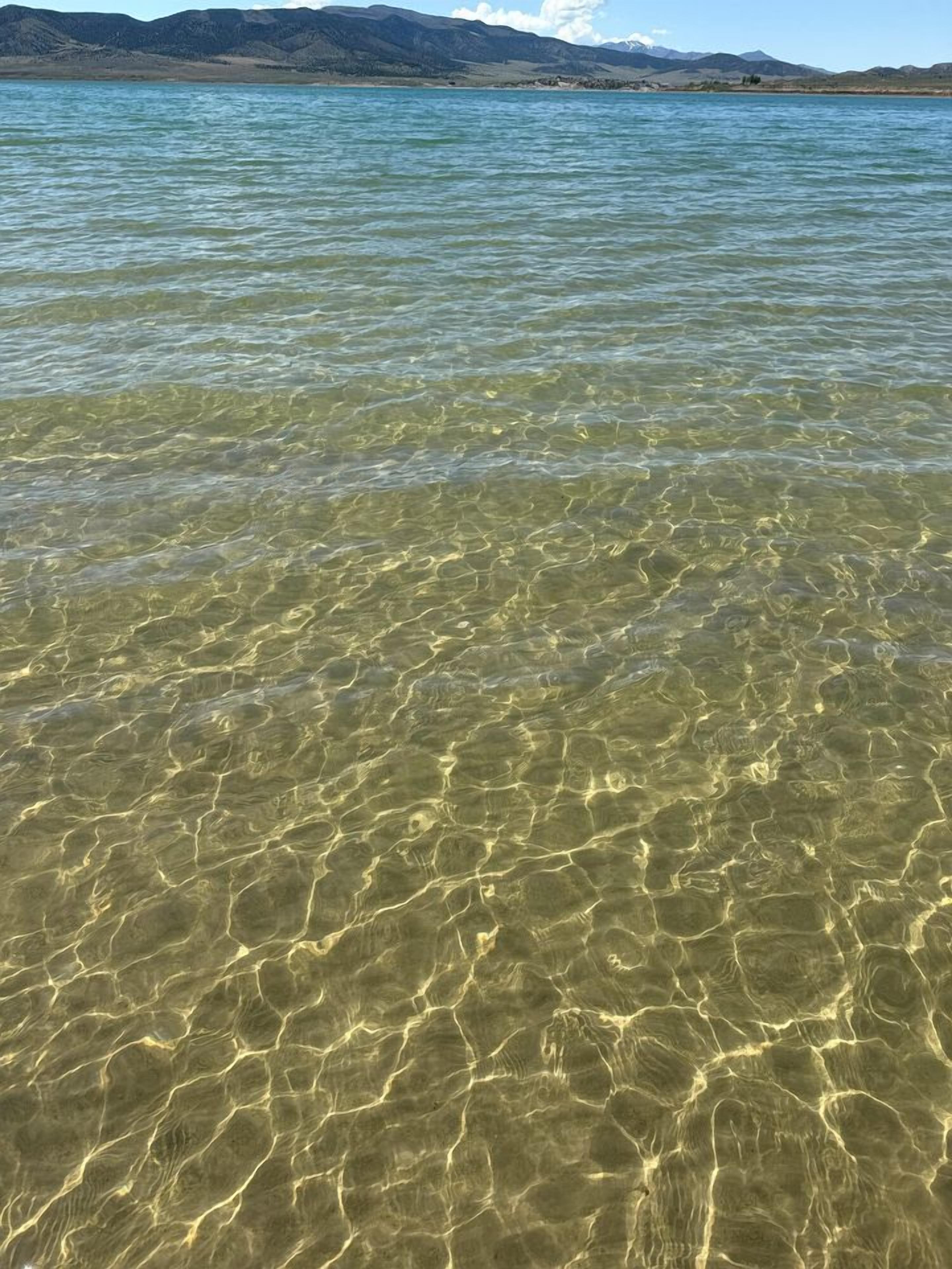 Clear water with visible ripples and a distant mountain range.