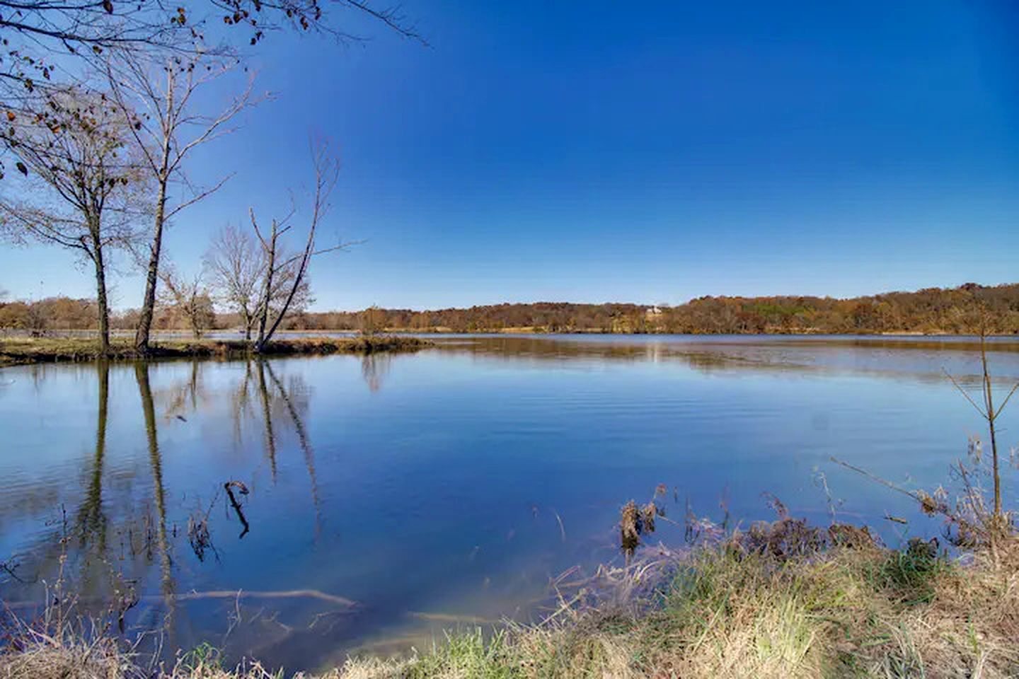 A calm lake with trees reflecting on the water, surrounded by a clear sky.