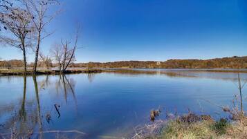 A calm lake with trees reflecting on the water, surrounded by a clear sky.