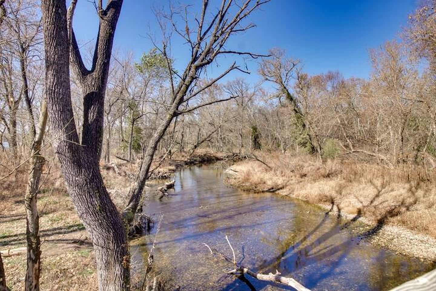 A natural landscape with a river, trees, and a clear sky.