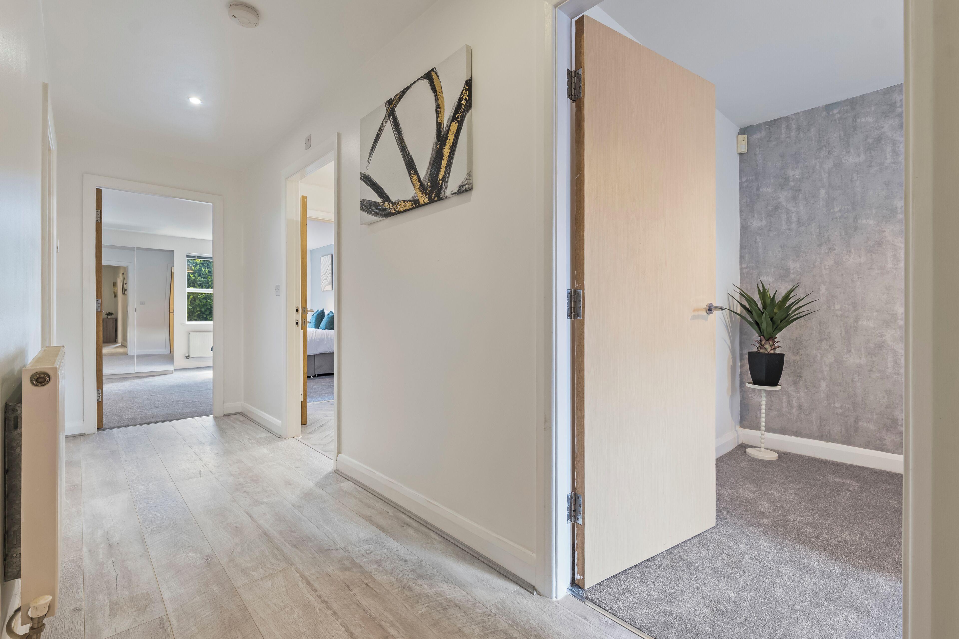 A hallway with a light wooden floor, a door with a modern handle, a wall-mounted abstract art piece, and a potted plant.
