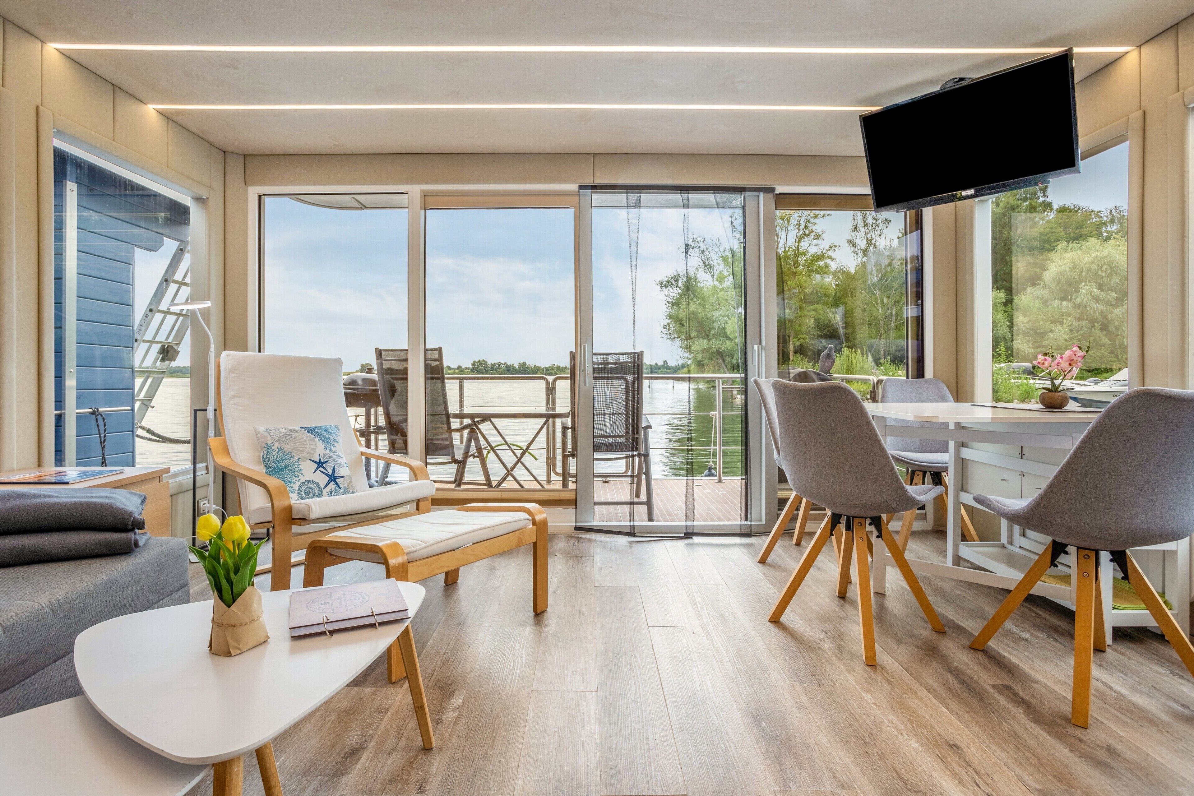 TV