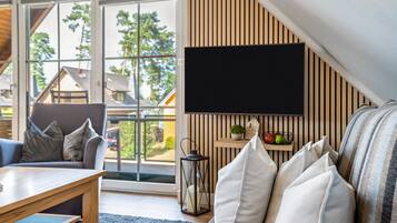 Fernseher, Kamin
