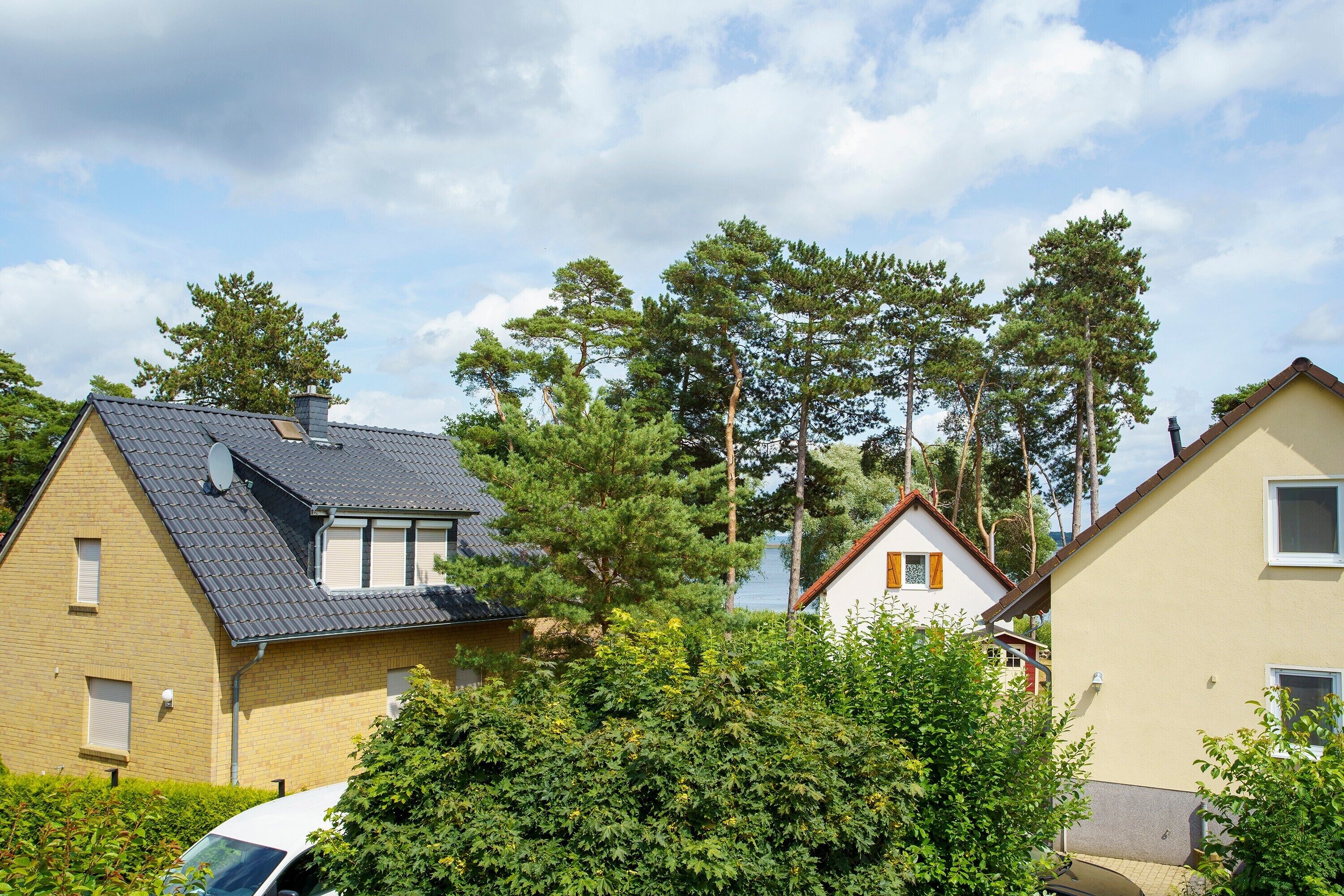 Eksteriør