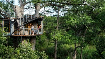 Une cabane dans les arbres, accessible par un escalier, entourée d’une forêt dense.