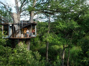 A treehouse with a staircase, surrounded by dense forest.