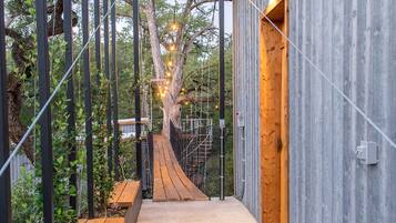 Un sendero de madera que conduce a un edificio con estructura metálica y un árbol al fondo.
