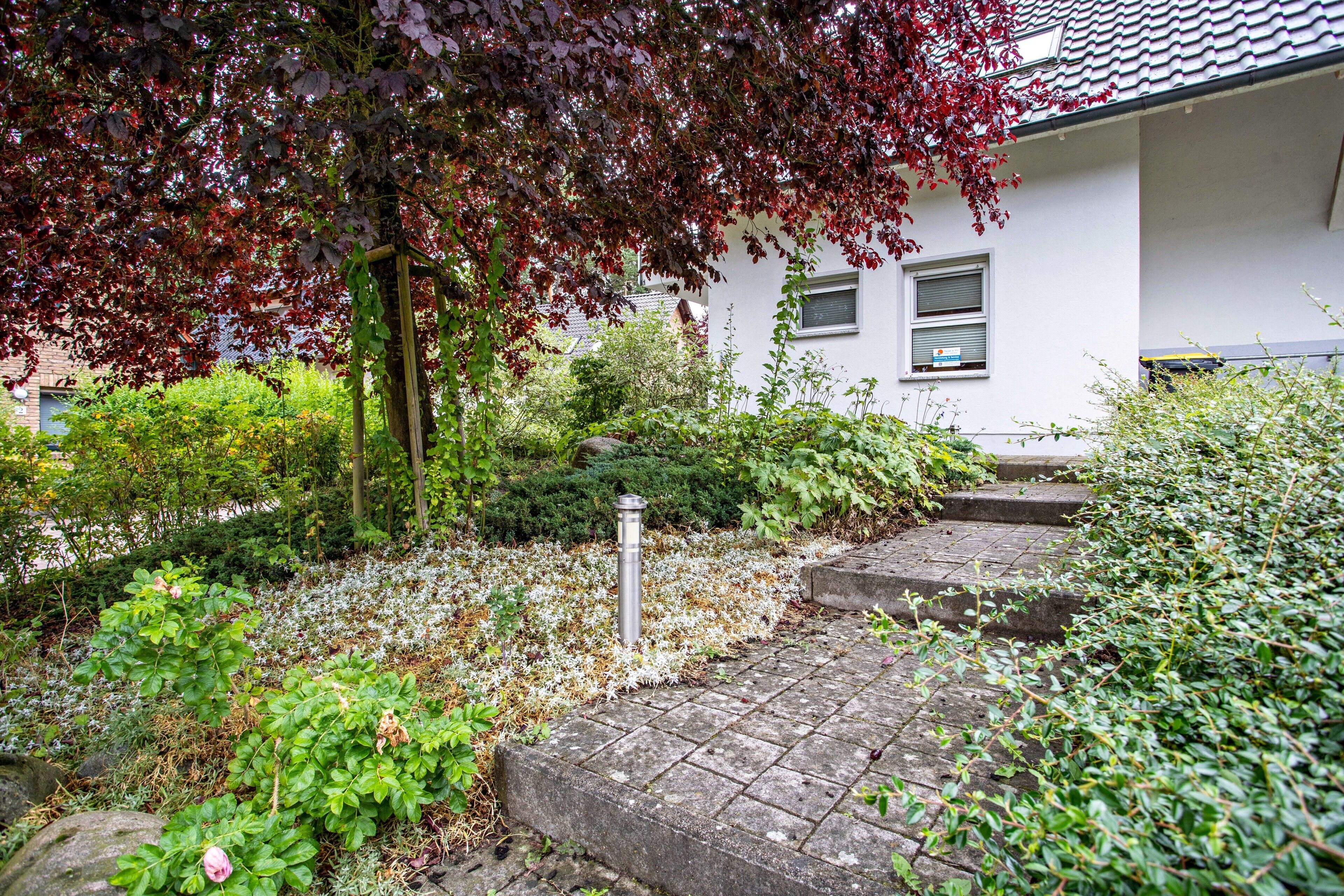 Un jardin où l’on trouve une grande variété de plantes, et un sentier de pierres qui mène à un bâtiment.