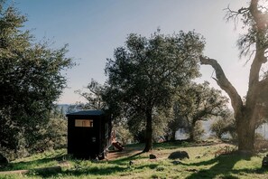 Une petite cabane de couleur sombre, dotée d’une fenêtre, entourée d’arbres et bordée d’une zone herbeuse.