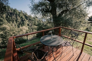 A wooden deck with a metal table and chairs, overlooking a forested area.