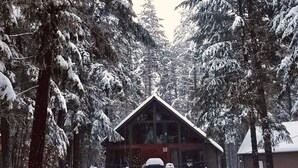 Una cabaña rodeada de árboles cubiertos de nieve.