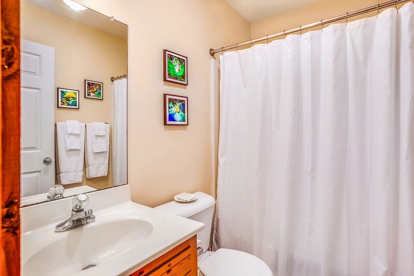 Hair dryer, towels, toilet paper