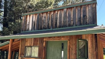 A rustic wooden cabin with a green door, a small porch, and a ladder leading to the upper level.