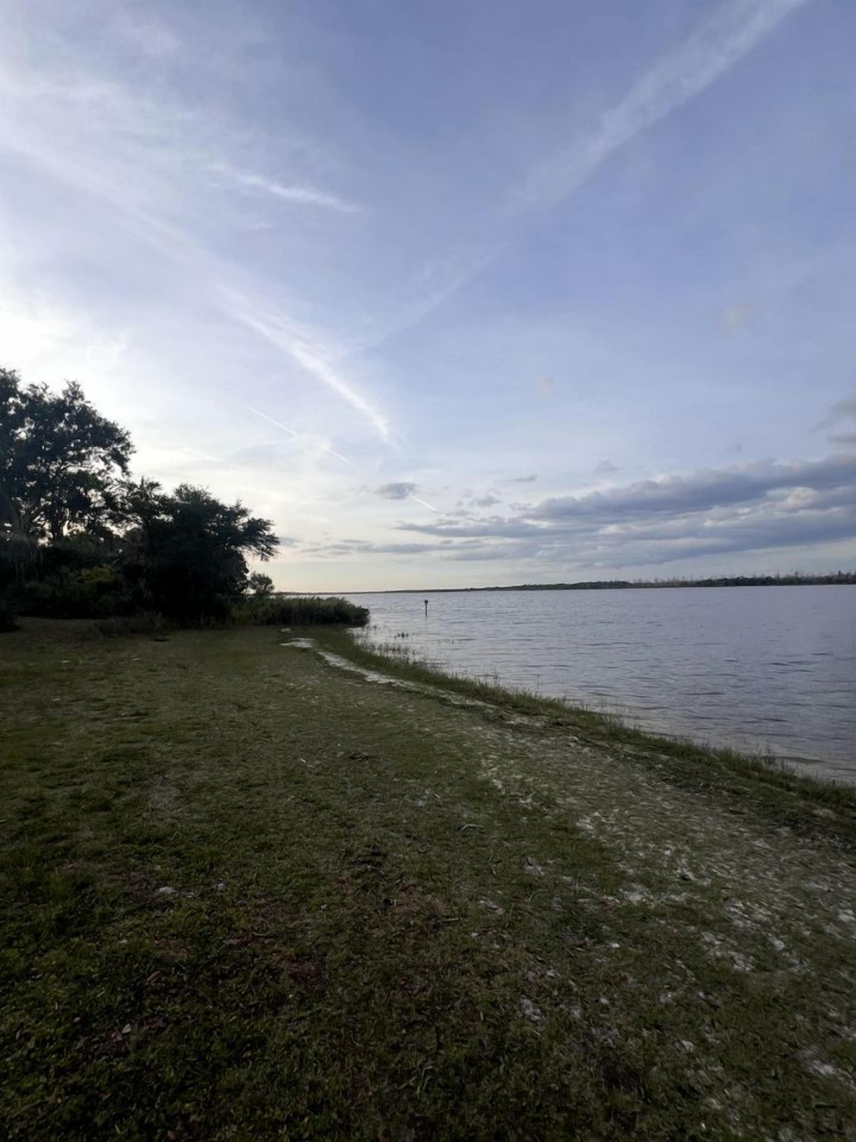 A grassy area beside a body of water with trees in the background.