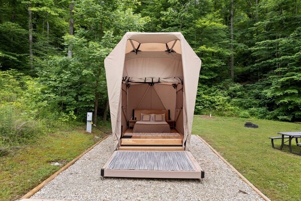 A tent with a bed inside, surrounded by a forest.