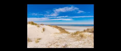 Playa