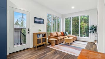 Fernseher, Kamin, Arbeitsbereiche