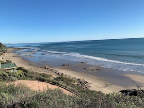 Une vue sur la côte, avec une plage de sable, des affleurements rocheux et un ciel bleu dégagé.