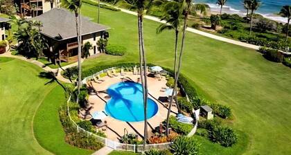 New and renovated! Makai Dream (Oceanfront)