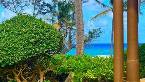 Ein tropischer Garten mit dichtem Grün und Blick aufs Meer.
