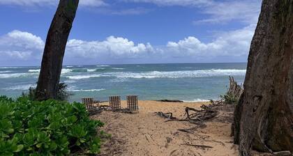 Sunrise Suite on the Coconut Coast