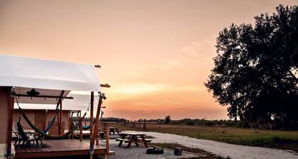 Relaxing Safari Tent with Fire Pit, Hammocks & BBQ in Basinger, Florida