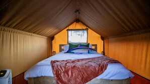A tented room with a bed, pillows, and a blanket.