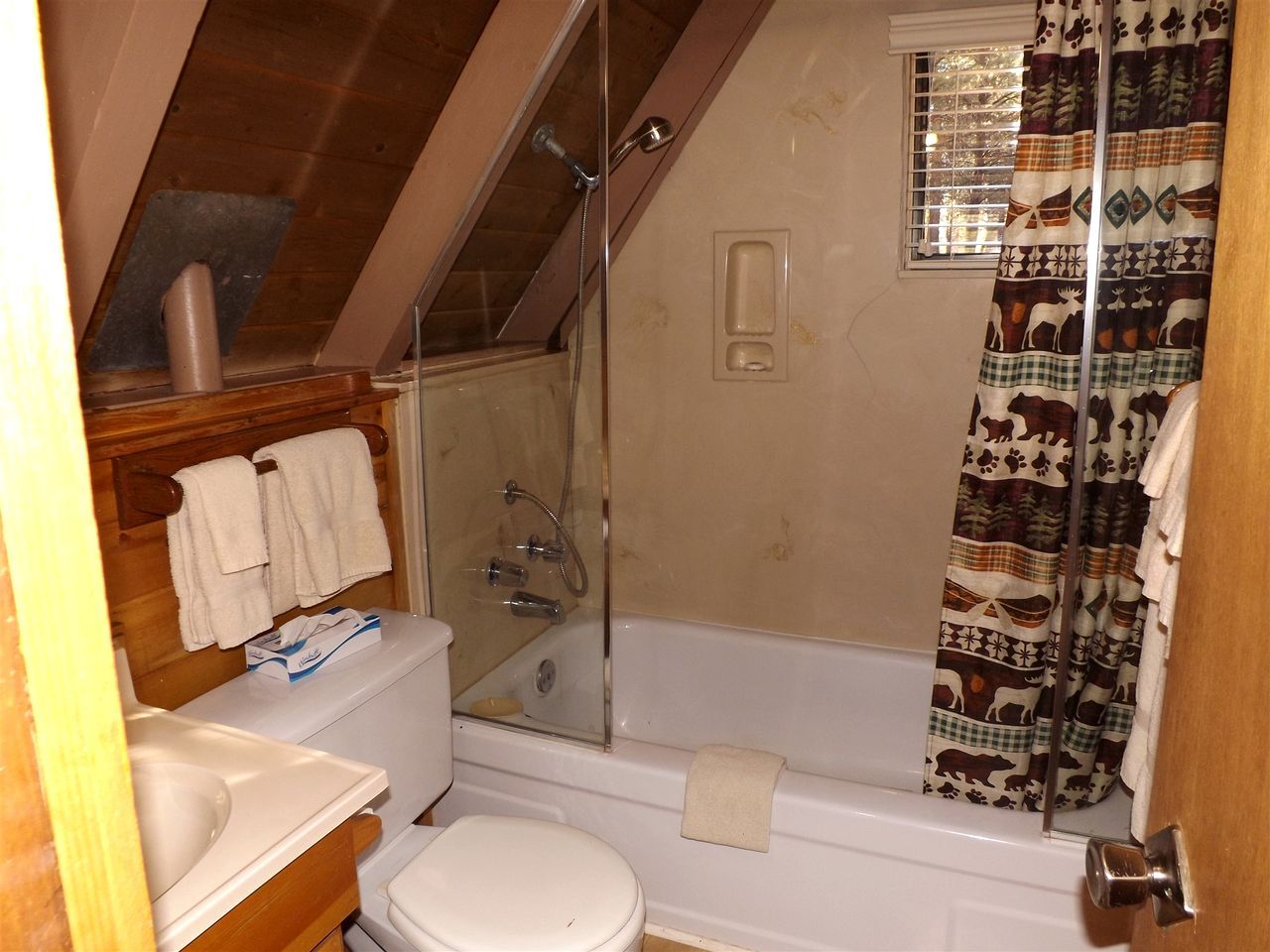Une salle de bain avec douche, toilettes et lavabo.