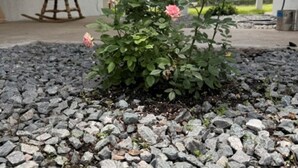 Puutarha-alue, jossa on kivikko, puinen keinutuoli ja katettu kuisti pylväineen.
