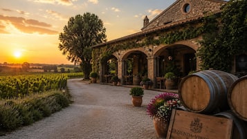 Azienda vinicola