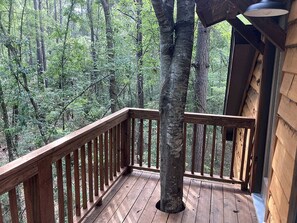 Property grounds - Cozy Tree House with Beautiful Modern Interior in Livingston, Texas (Livingston)