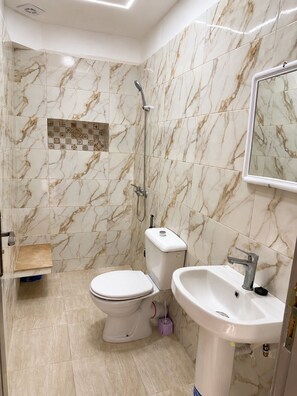 Shower, towels, toilet paper