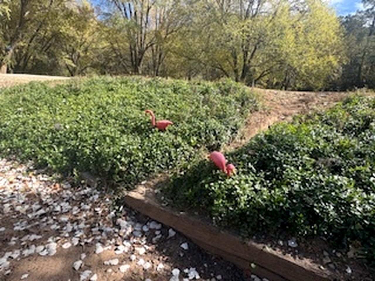 Jardines del alojamiento