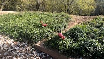 Jardines del alojamiento