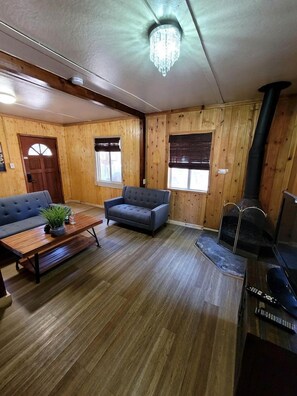 Fernseher, Kamin