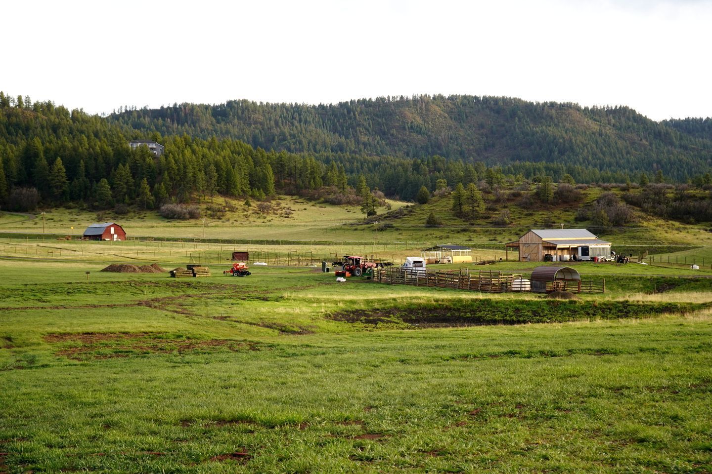 Miscelánea