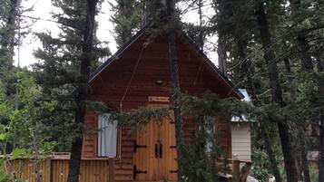 A cabin with a wooden exterior, a front door, and a small porch.