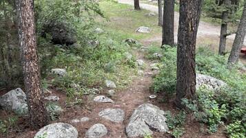 A forested area with a wooden bench, a path with rocks, and trees.
