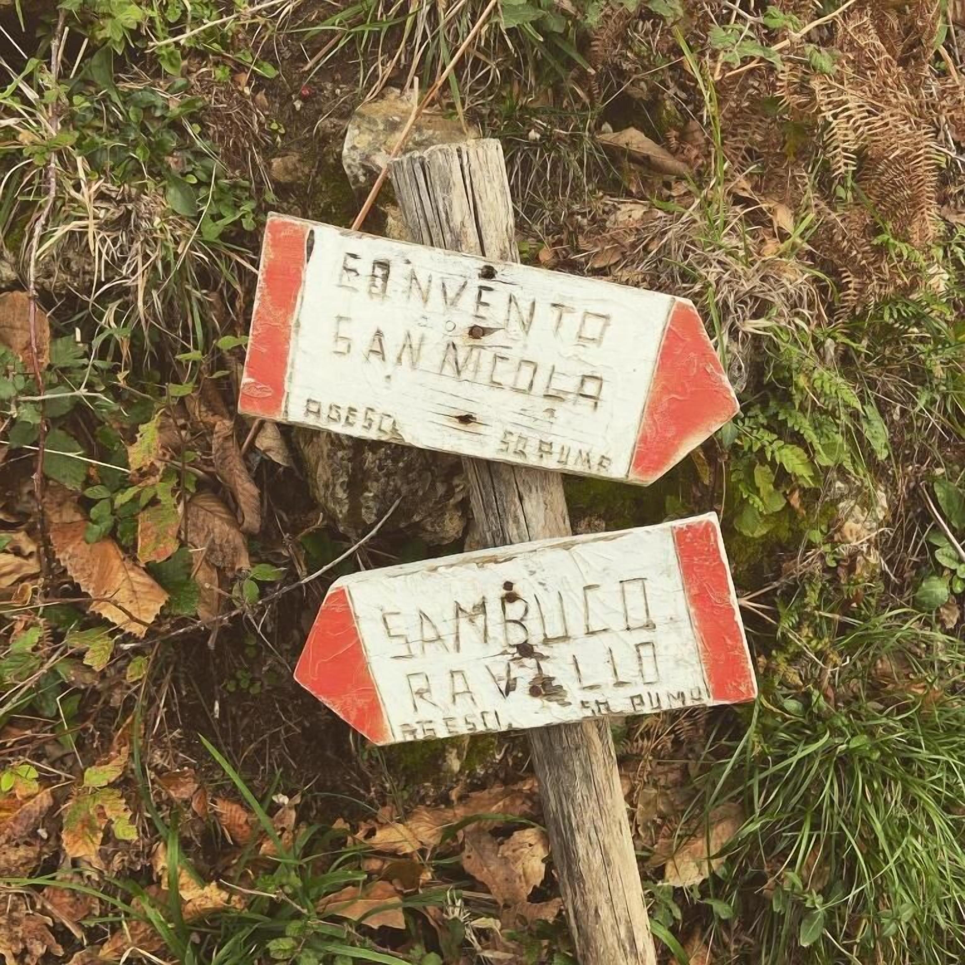 Deux panneaux de signalisation en bois, avec du texte, entourés de feuillage.